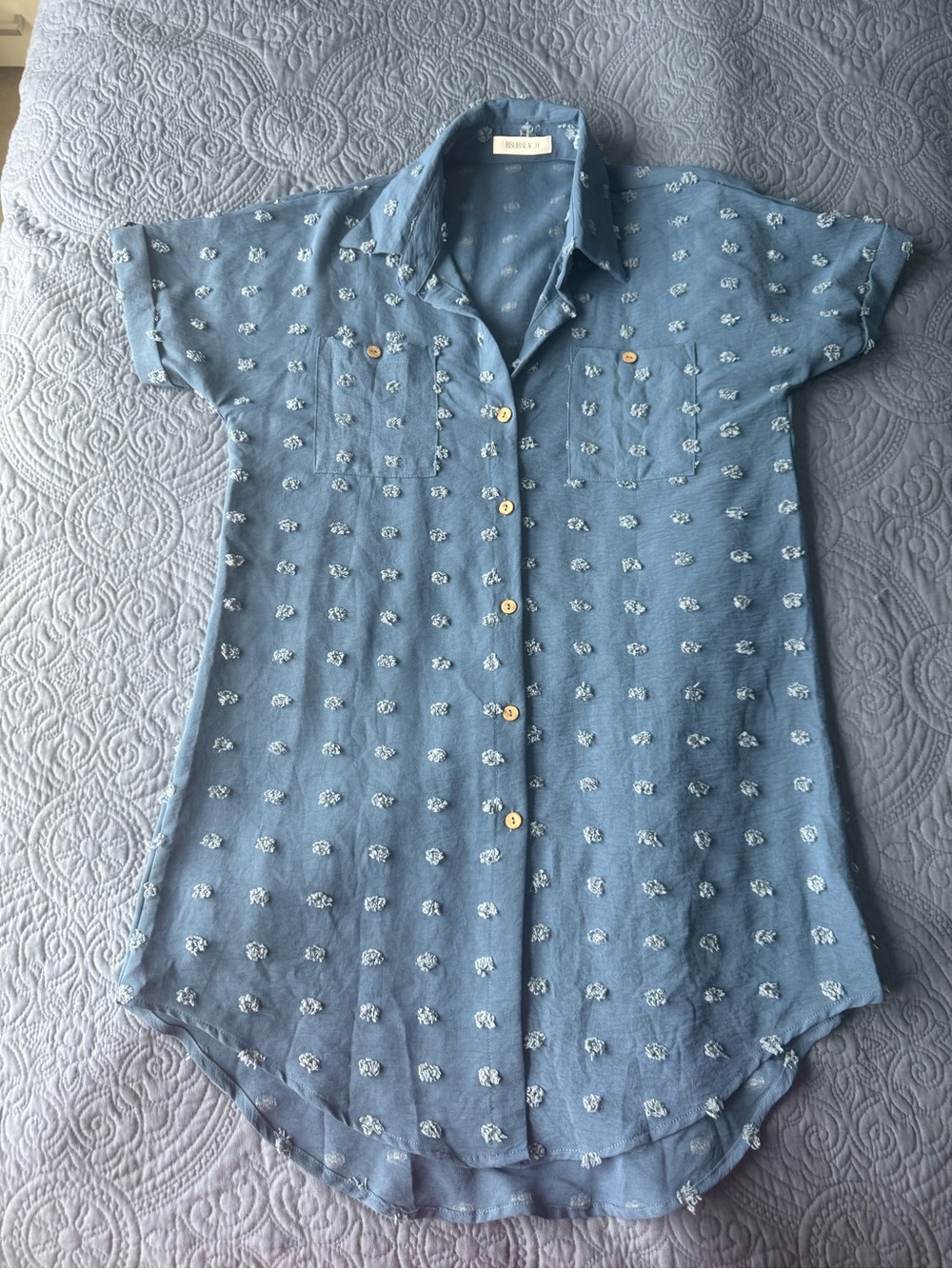 Blue Textured Button-Down Shirt Dress